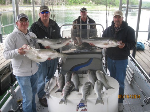 Nice Striped Bass